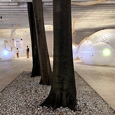 Biennale Architettura 2018, padiglione dei Paesi Scandinavi
