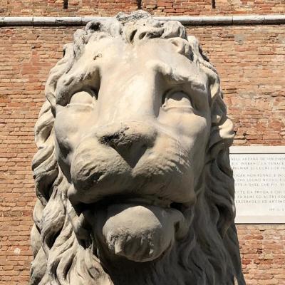 der venezianische Löwe