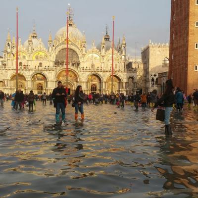 acqua alta in Piazza San Marco